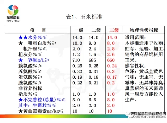 對(duì)于玉米不得不知道的事情