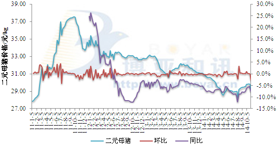 出售仔豬虧損長(zhǎng)達(dá)一年 母豬市場(chǎng)有何影響？
