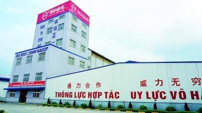 海外探訪：新希望、通威等飼料企業(yè)抱團(tuán)突圍闖越南
