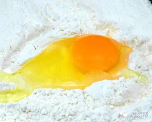 乳清蛋白濃縮物成本高昂 是否有替代品？