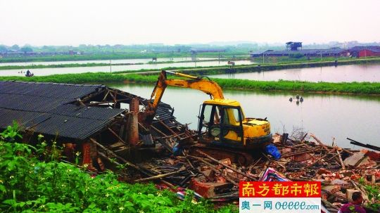 博羅龍溪500家非法豬場9月底全拆完