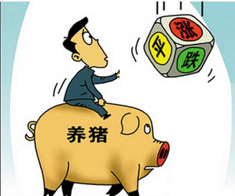 中國養(yǎng)豬產(chǎn)業(yè)鏈將在未來兩年內(nèi)引爆