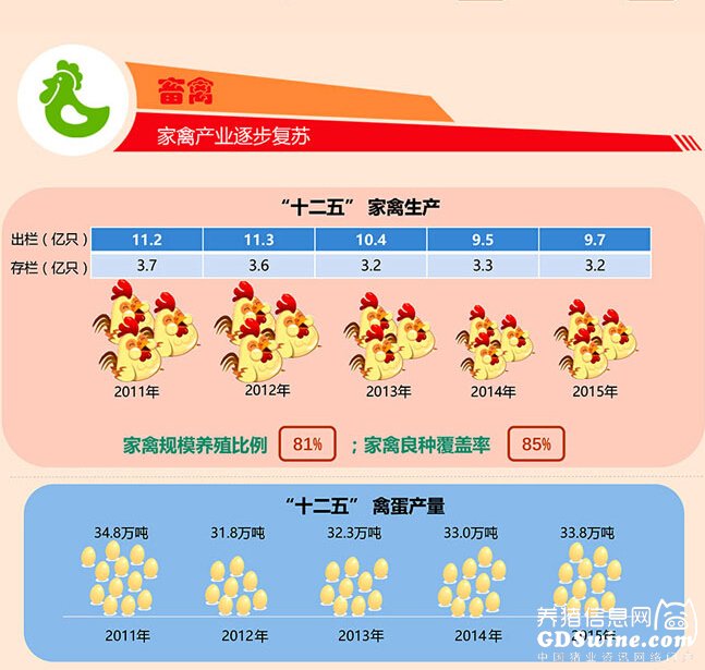 最新數(shù)據(jù)：廣東2015年萬頭豬場340家，居全國第一