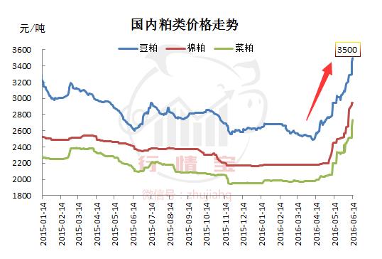 玉米、豆粕暴漲，豬價(jià)竟跌了1塊，豬還咋養(yǎng)？