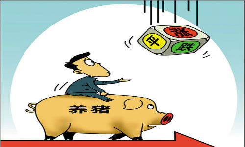 豬價(jià)短期內(nèi)下跌態(tài)勢(shì)還將延續(xù)？不要過份恐慌......