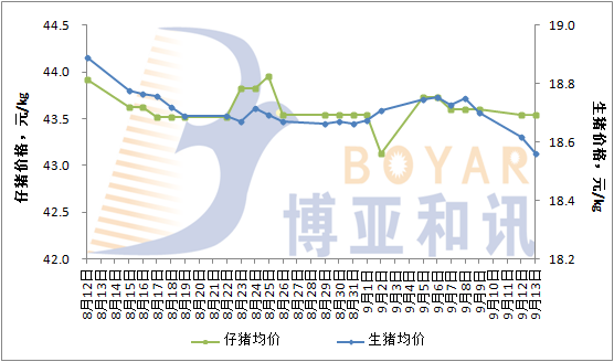 中秋臨近，豬價(jià)再遭劫數(shù)