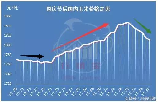 12月玉米價(jià)格是漲是跌？農(nóng)戶賣糧、養(yǎng)豬戶買糧最關(guān)鍵時(shí)期！