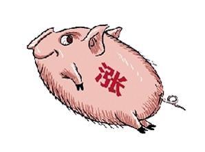 春節(jié)期間豬肉價格會長上漲嗎？豬肉價格上漲原因是什么？