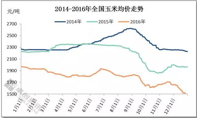 玉米價格已跌到底部，該出手了！