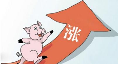 雞年首個寒潮預警來襲降溫10度，是否會拱高豬價？