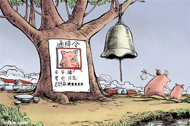 禁養(yǎng)拆豬場原來還有這門道！