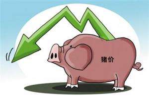 農(nóng)業(yè)部預(yù)計(jì)：明年豬價(jià)穩(wěn)中略降 整體波動(dòng)不大