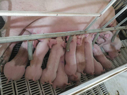 行情進入低谷！調(diào)整銷售策略就能賺錢！