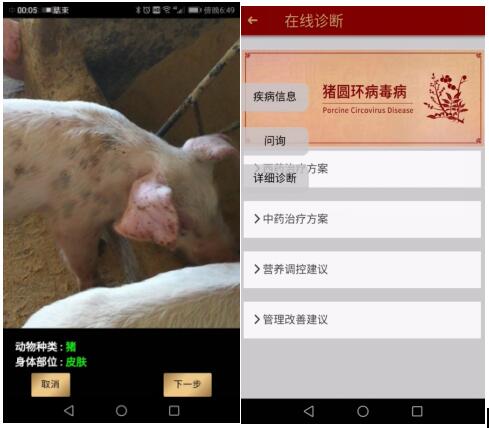 2019年智能養(yǎng)殖將進(jìn)入高速發(fā)展期，挺好科技成為先行者